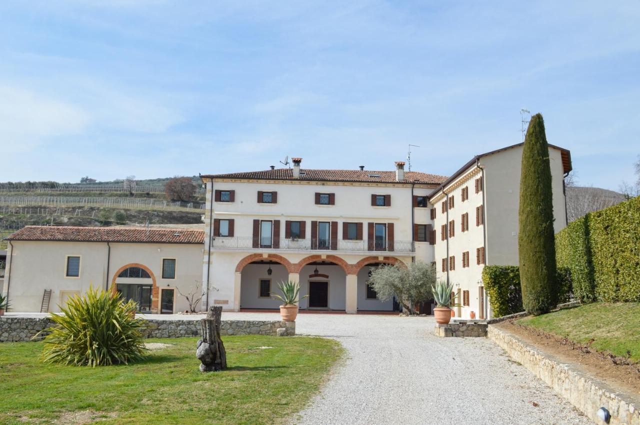 Verdeolivo 1876 - Apartments & Pool Mezzane di Sotto エクステリア 写真