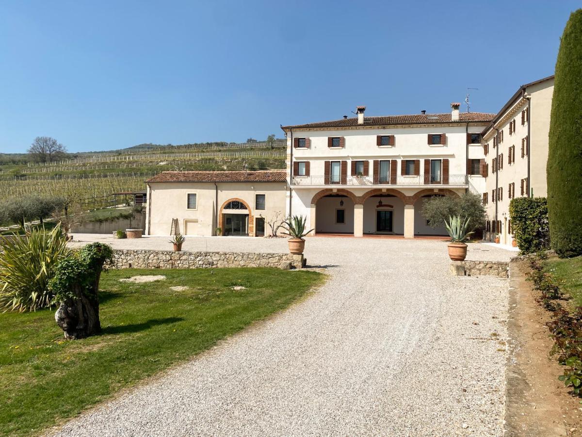 Verdeolivo 1876 - Apartments & Pool Mezzane di Sotto エクステリア 写真
