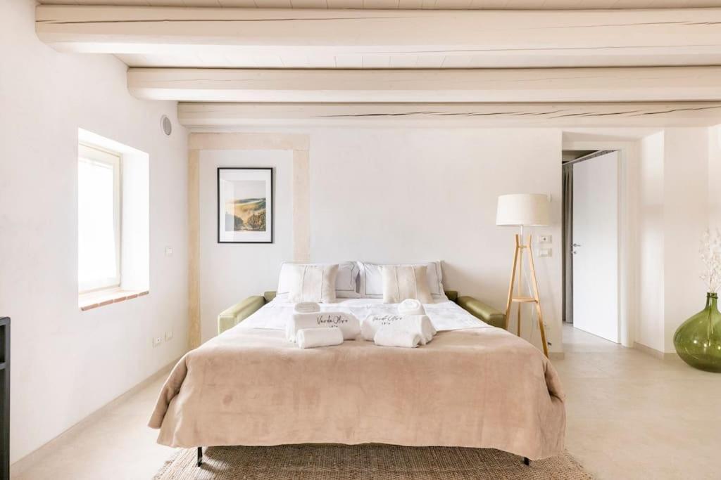 Verdeolivo 1876 - Apartments & Pool Mezzane di Sotto エクステリア 写真