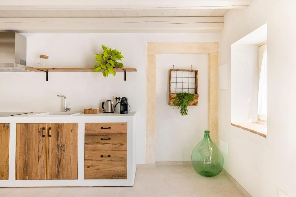Verdeolivo 1876 - Apartments & Pool Mezzane di Sotto エクステリア 写真