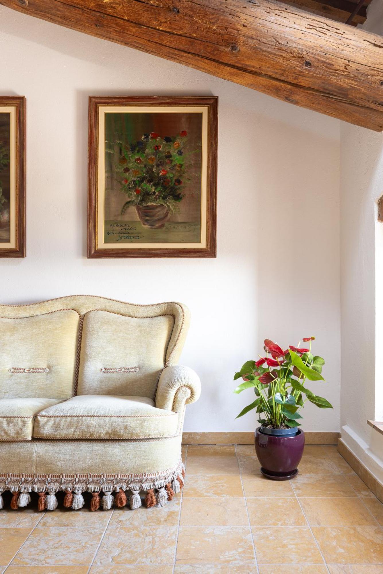Verdeolivo 1876 - Apartments & Pool Mezzane di Sotto エクステリア 写真
