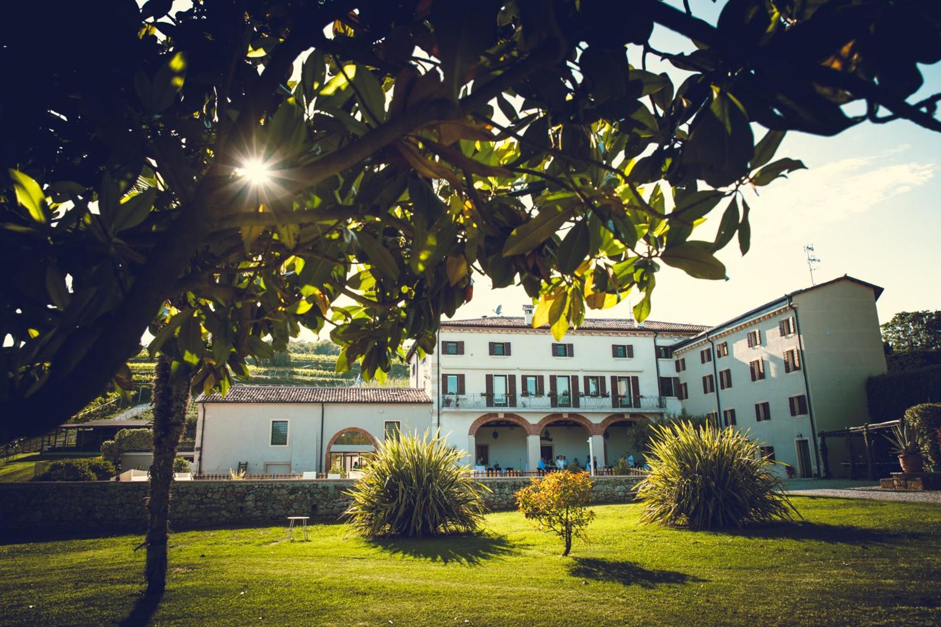 Verdeolivo 1876 - Apartments & Pool Mezzane di Sotto エクステリア 写真